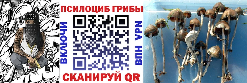 Псилоцибиновые грибы прущие грибы  OMG ONION  Игарка 
